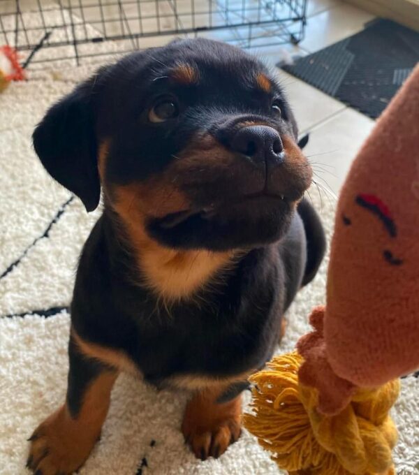 Betty