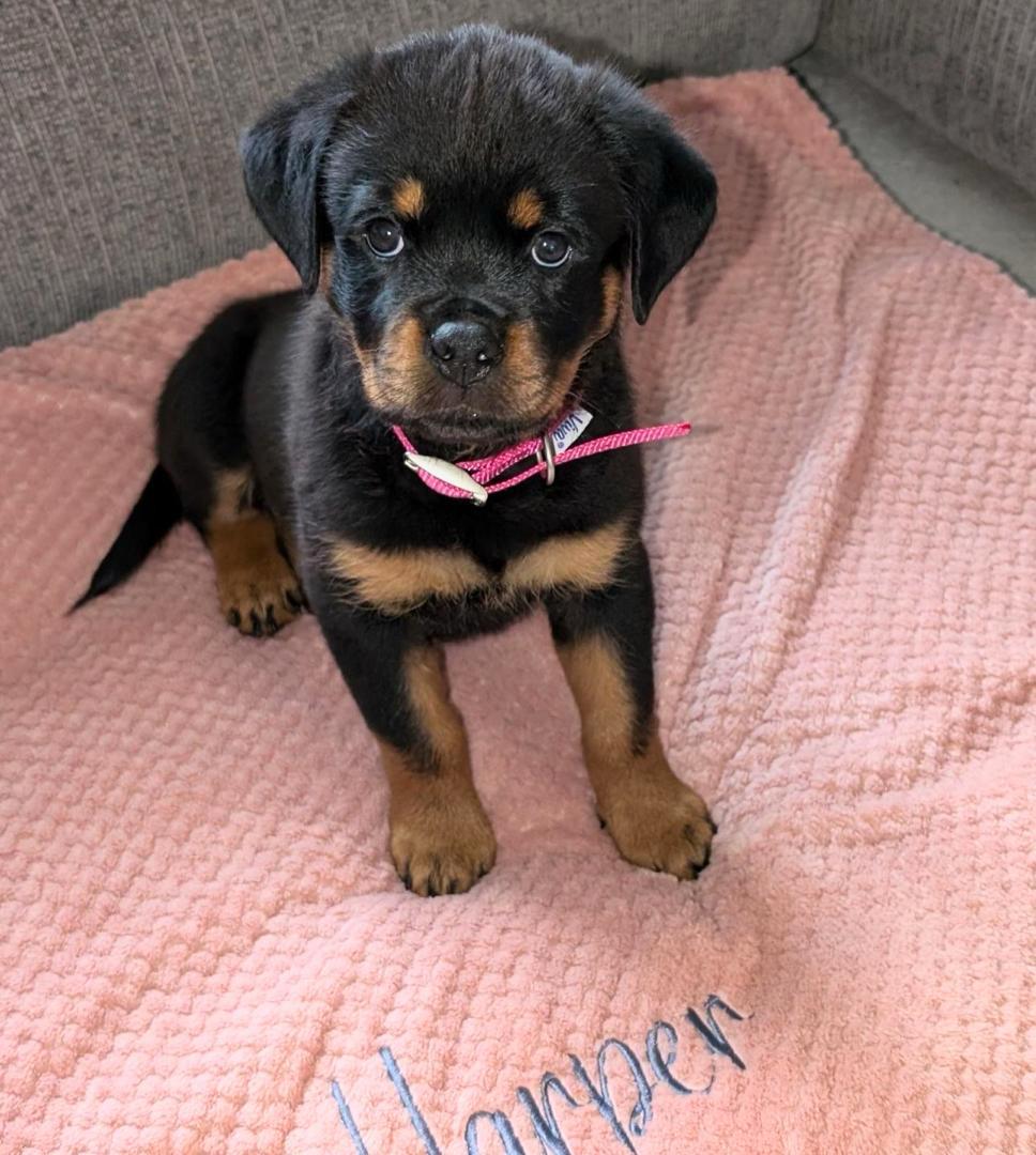 Tina